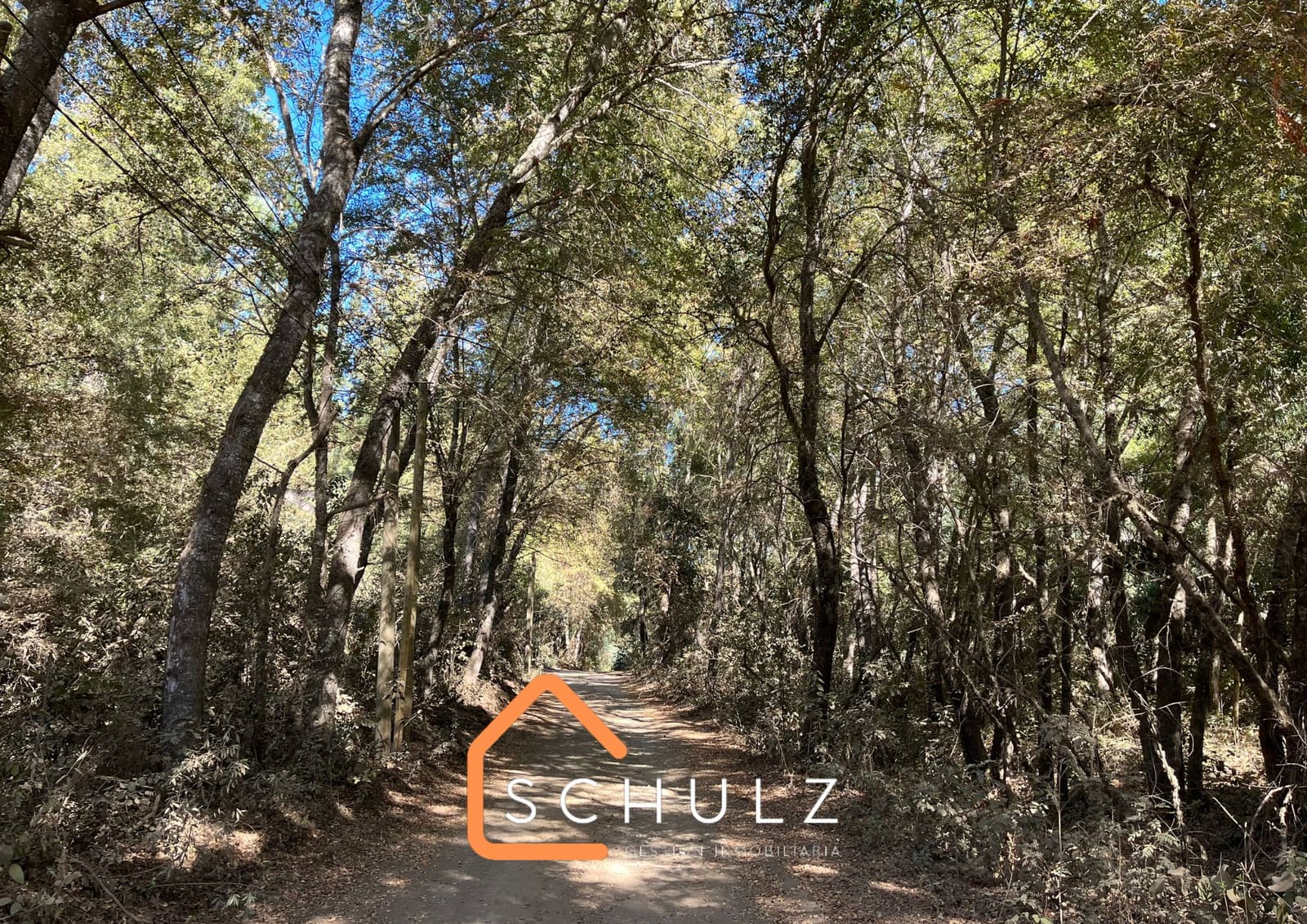 Parcela en venta en San Clemente — foto 1