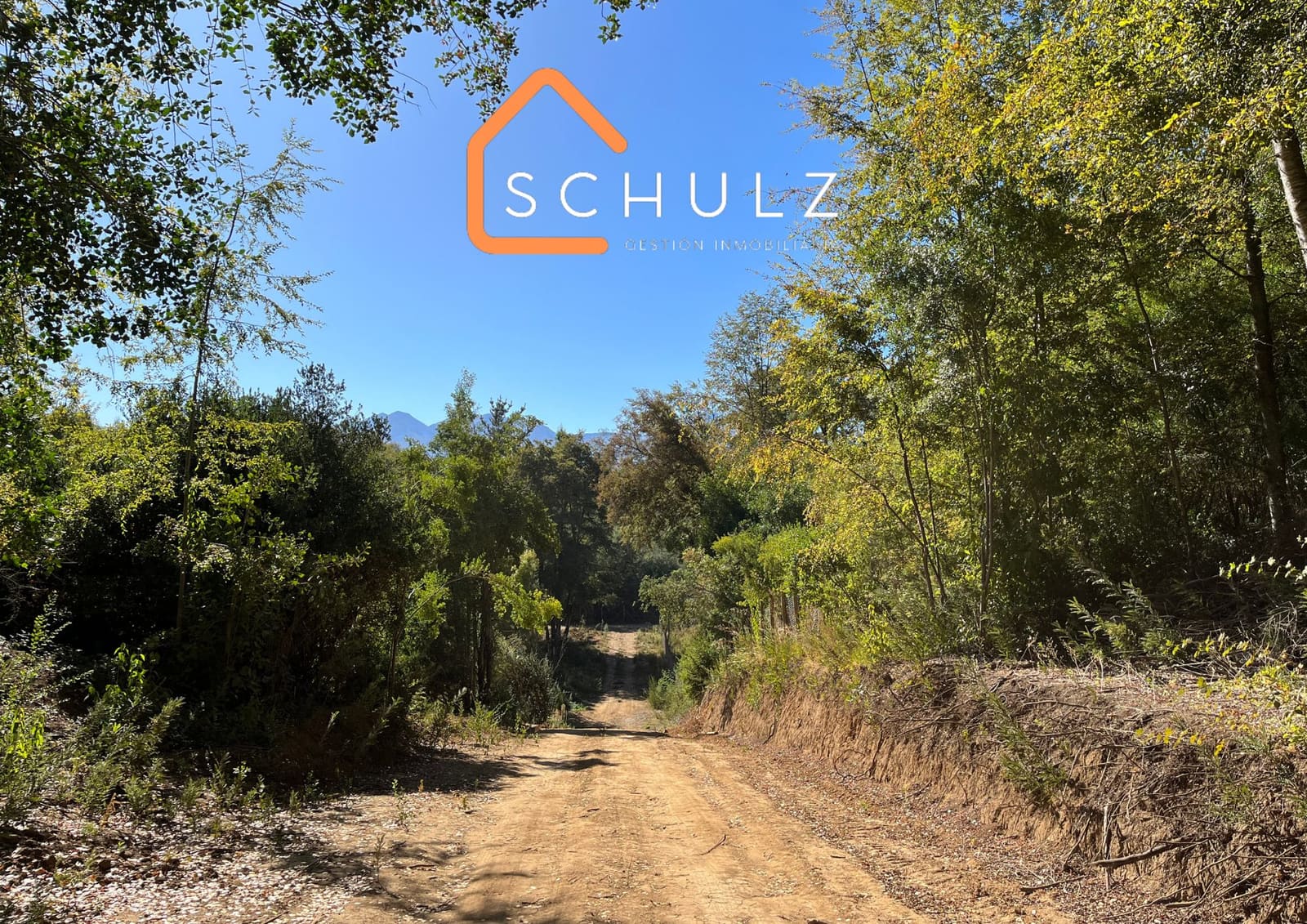 Parcela en venta en San Clemente — foto 3