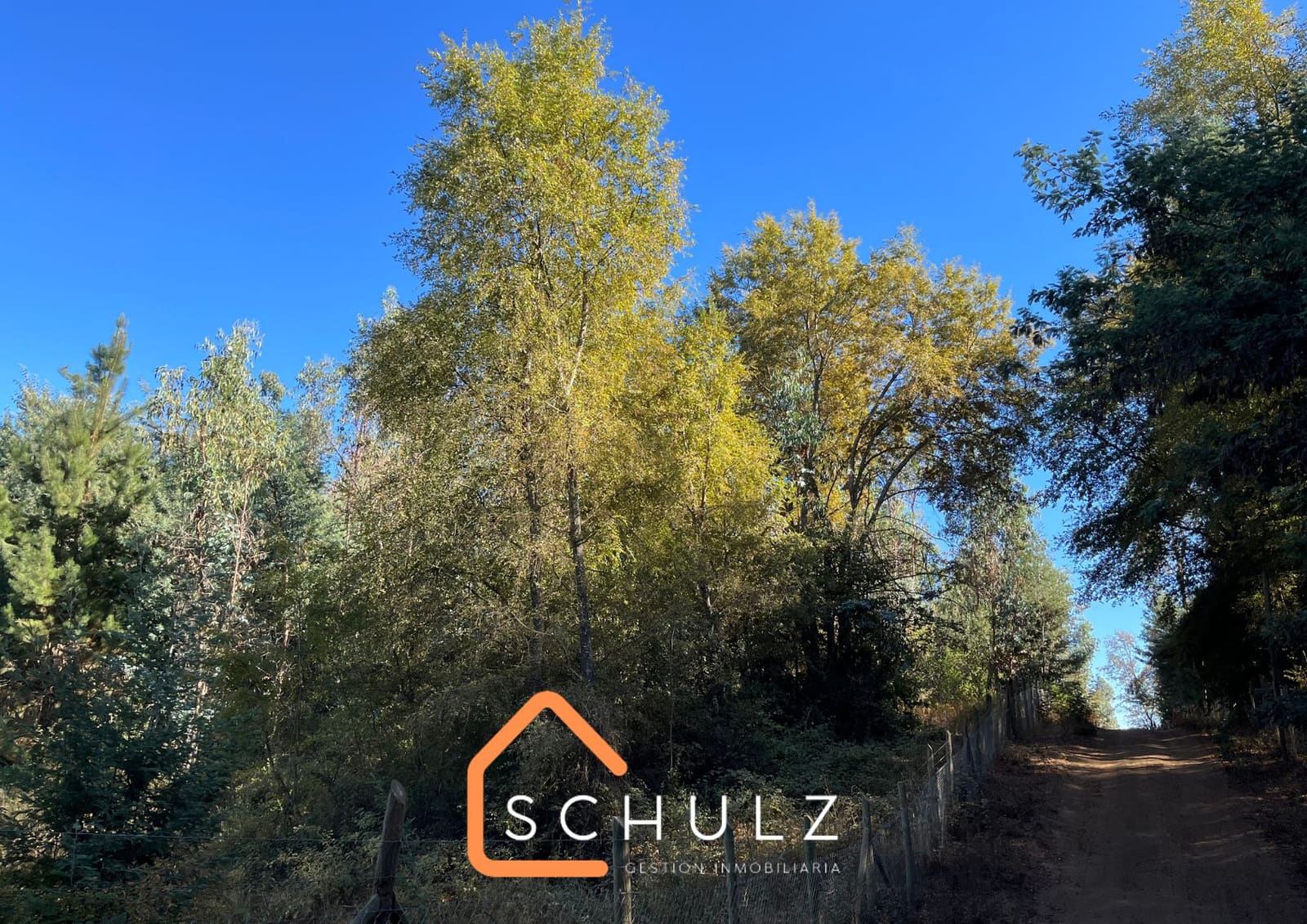 Parcela en venta en San Clemente — foto 5