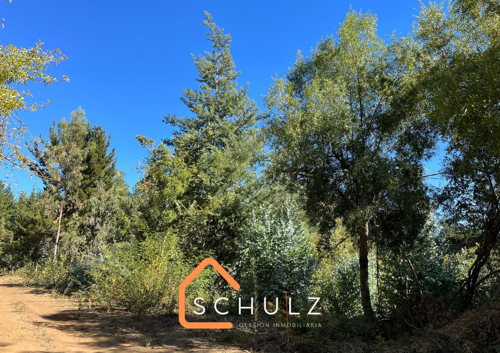 Parcela en venta en San Clemente — foto 6