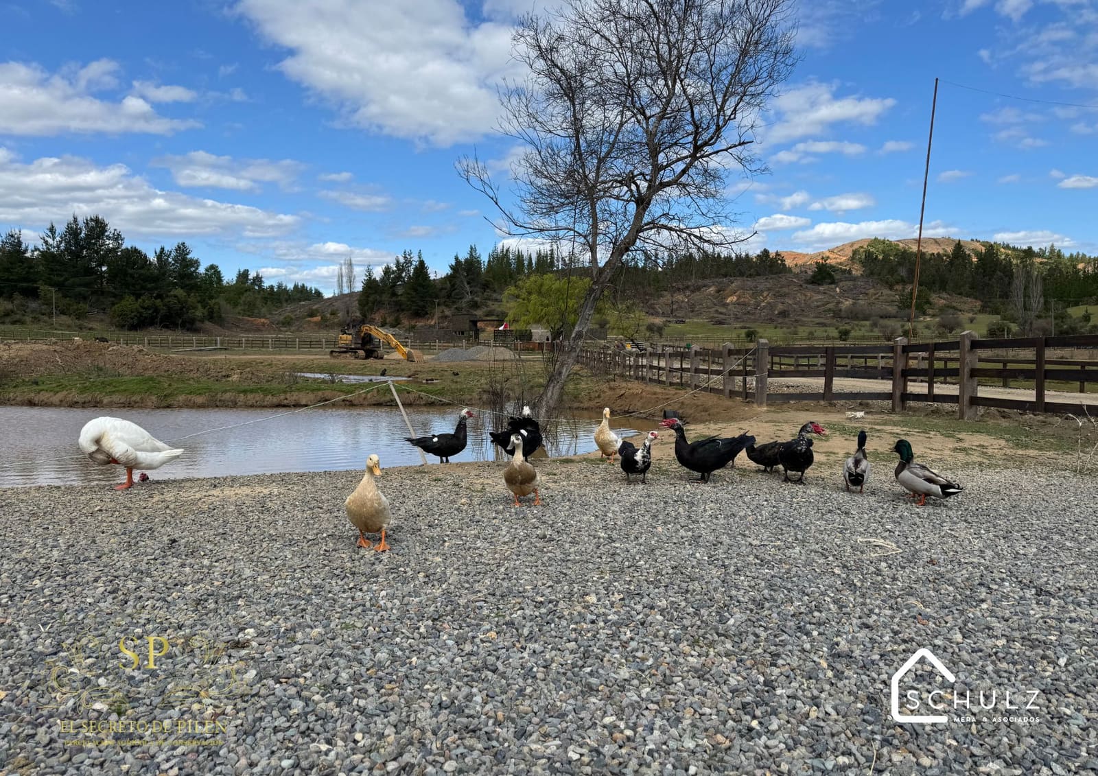 Parcela en venta en Cauquenes — foto 7