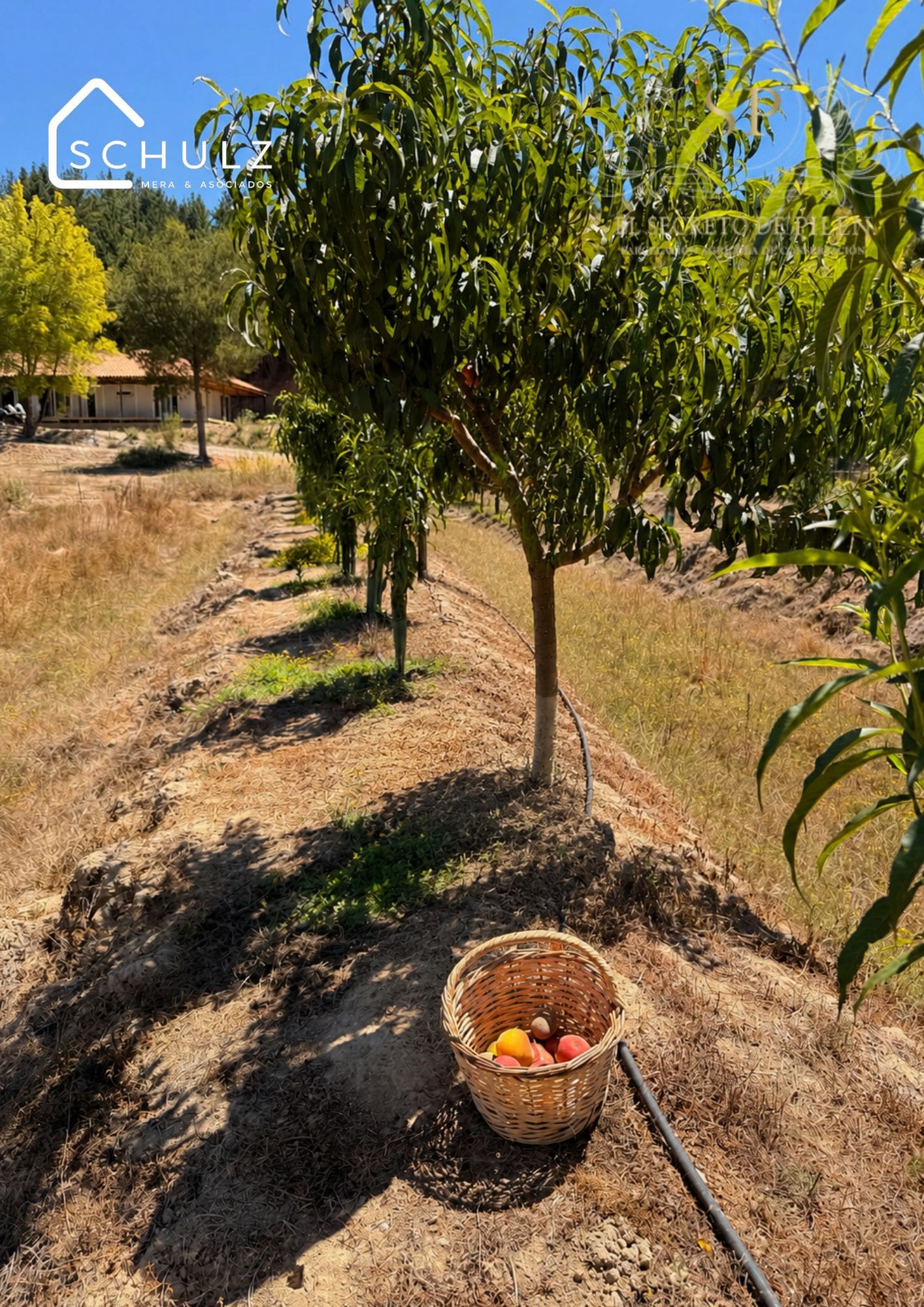 Parcela en venta en Cauquenes — foto 8