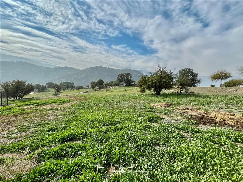 Terreno en venta en Lo Barnechea — foto 9