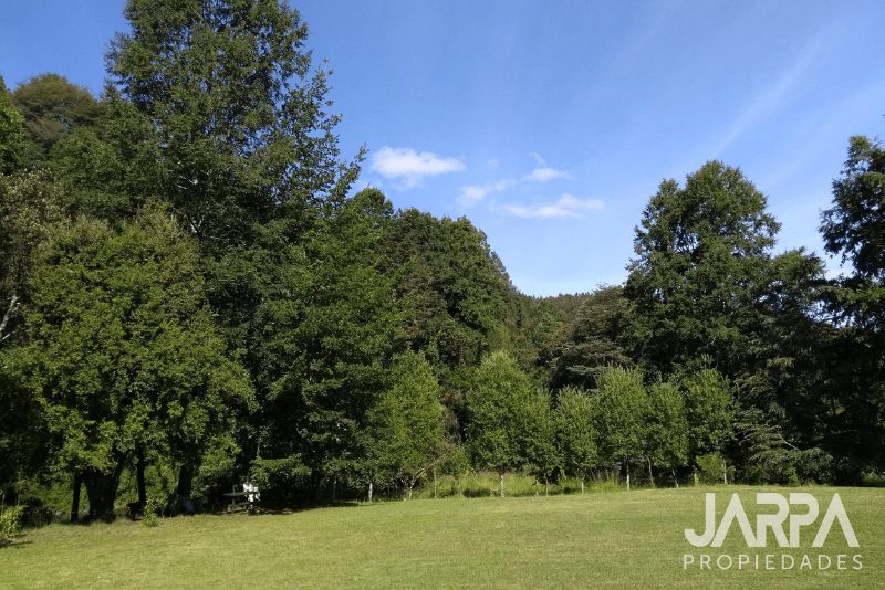 Terreno en venta en Cunco — foto 2
