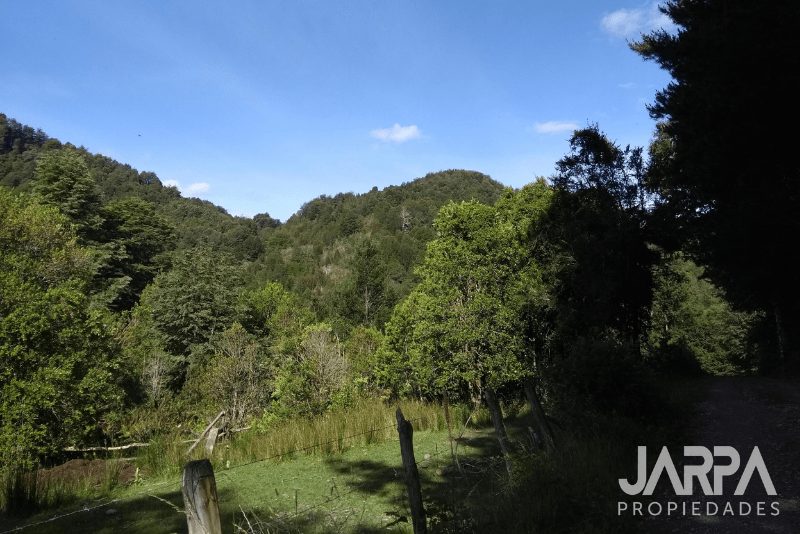 Terreno en venta en Cunco — foto 3