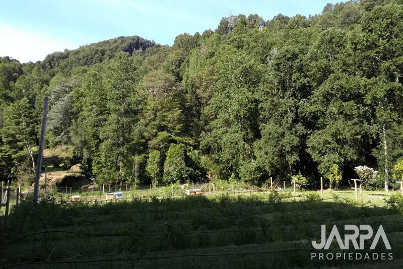 Terreno en venta en Cunco — foto 4