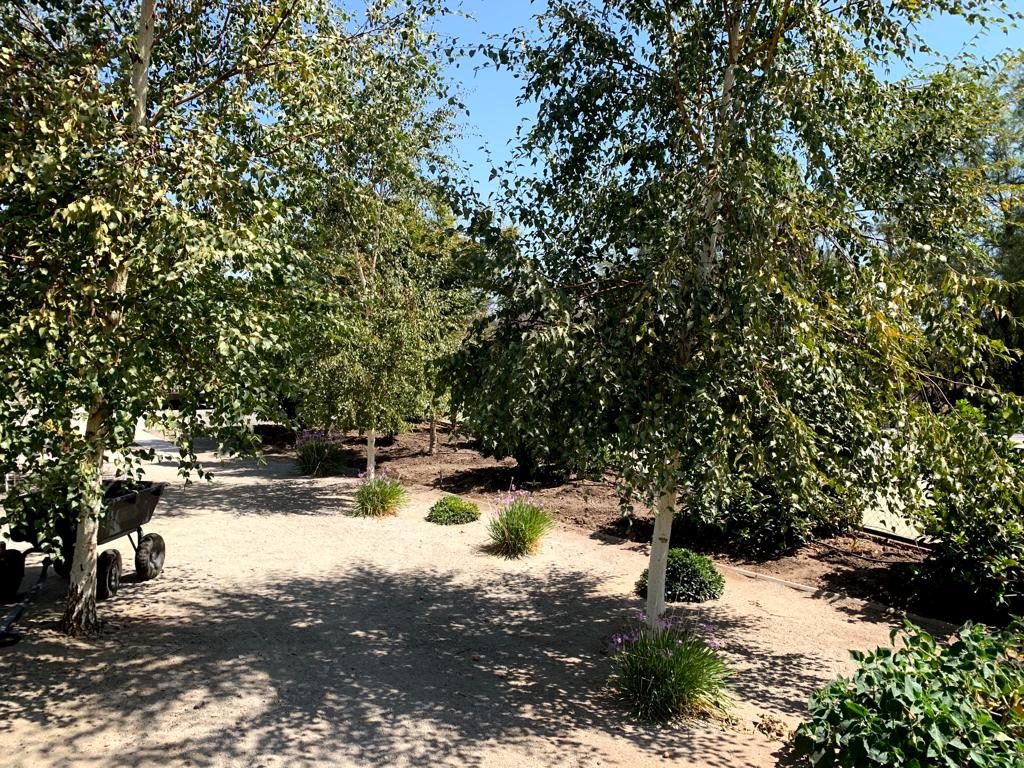 Casa en venta en Colina — foto 10