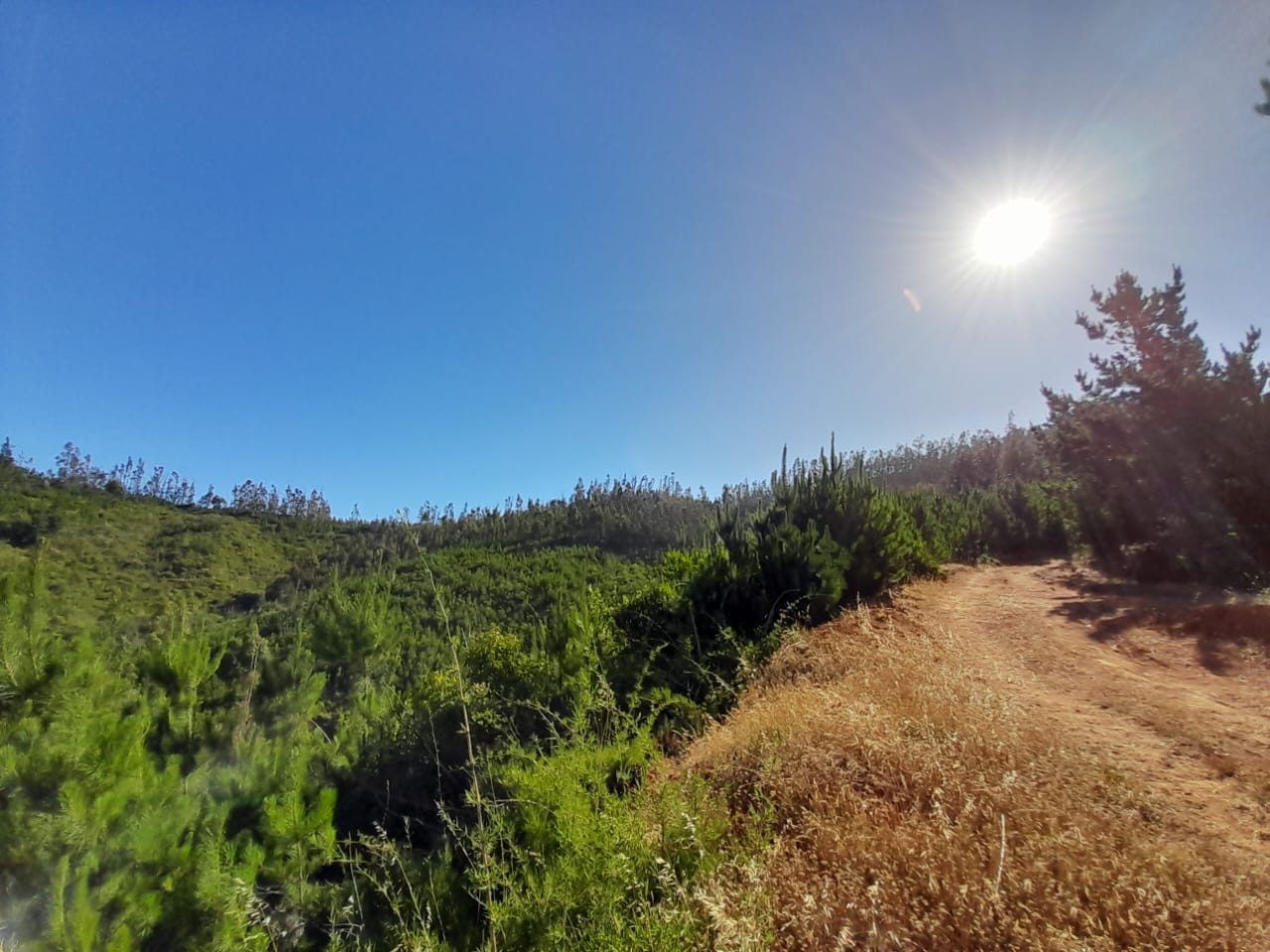 Terreno en venta en Vichuquén — foto 1