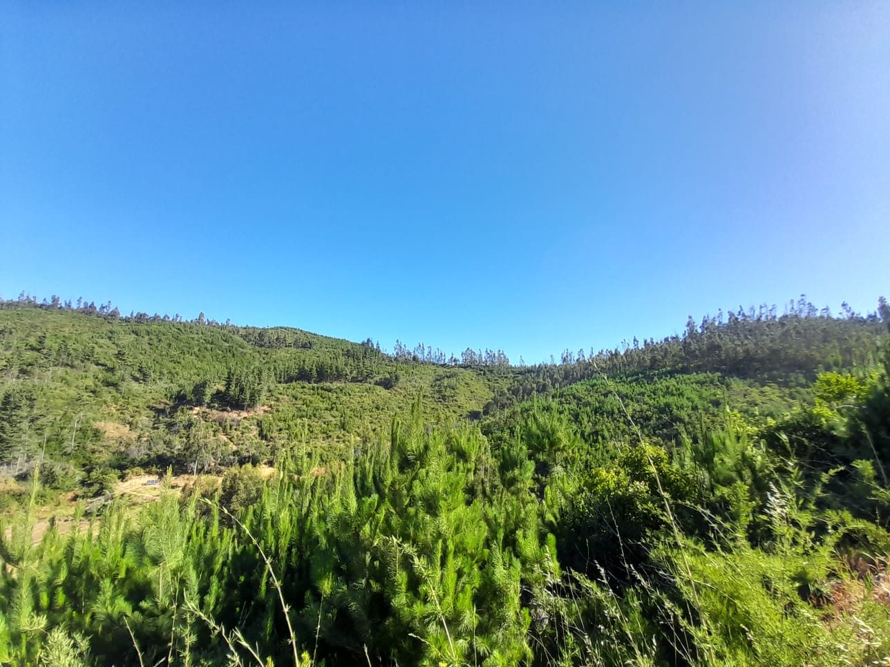 Terreno en venta en Vichuquén — foto 2