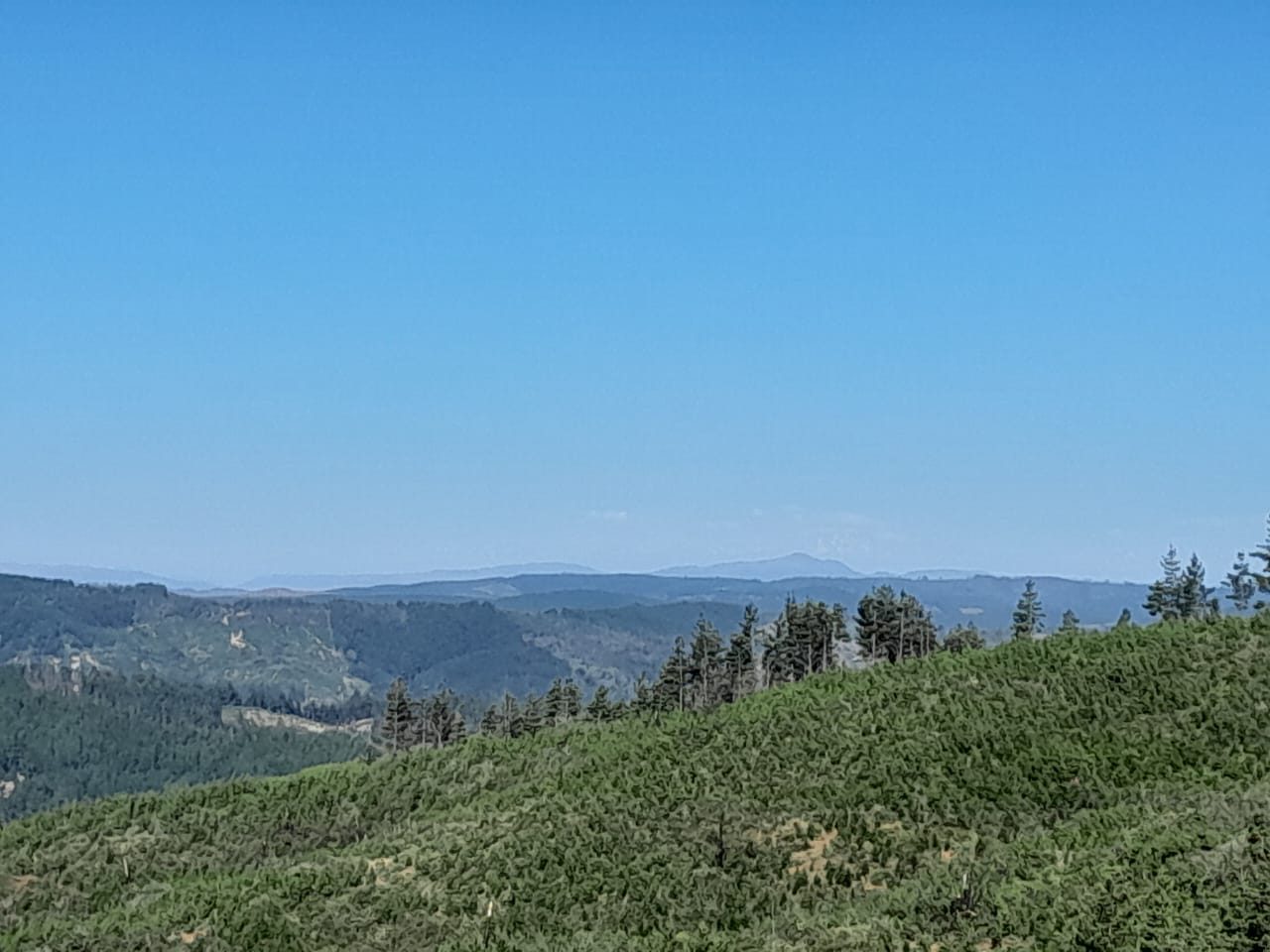 Terreno en venta en Vichuquén — foto 3