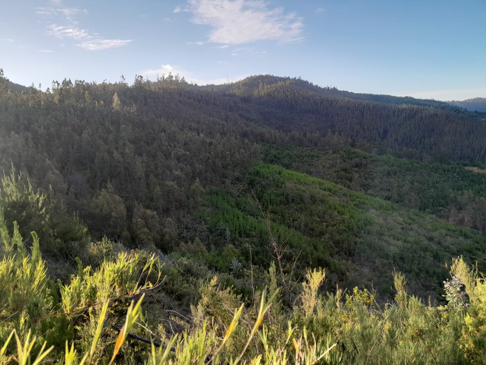 Terreno en venta en Vichuquén — foto 6