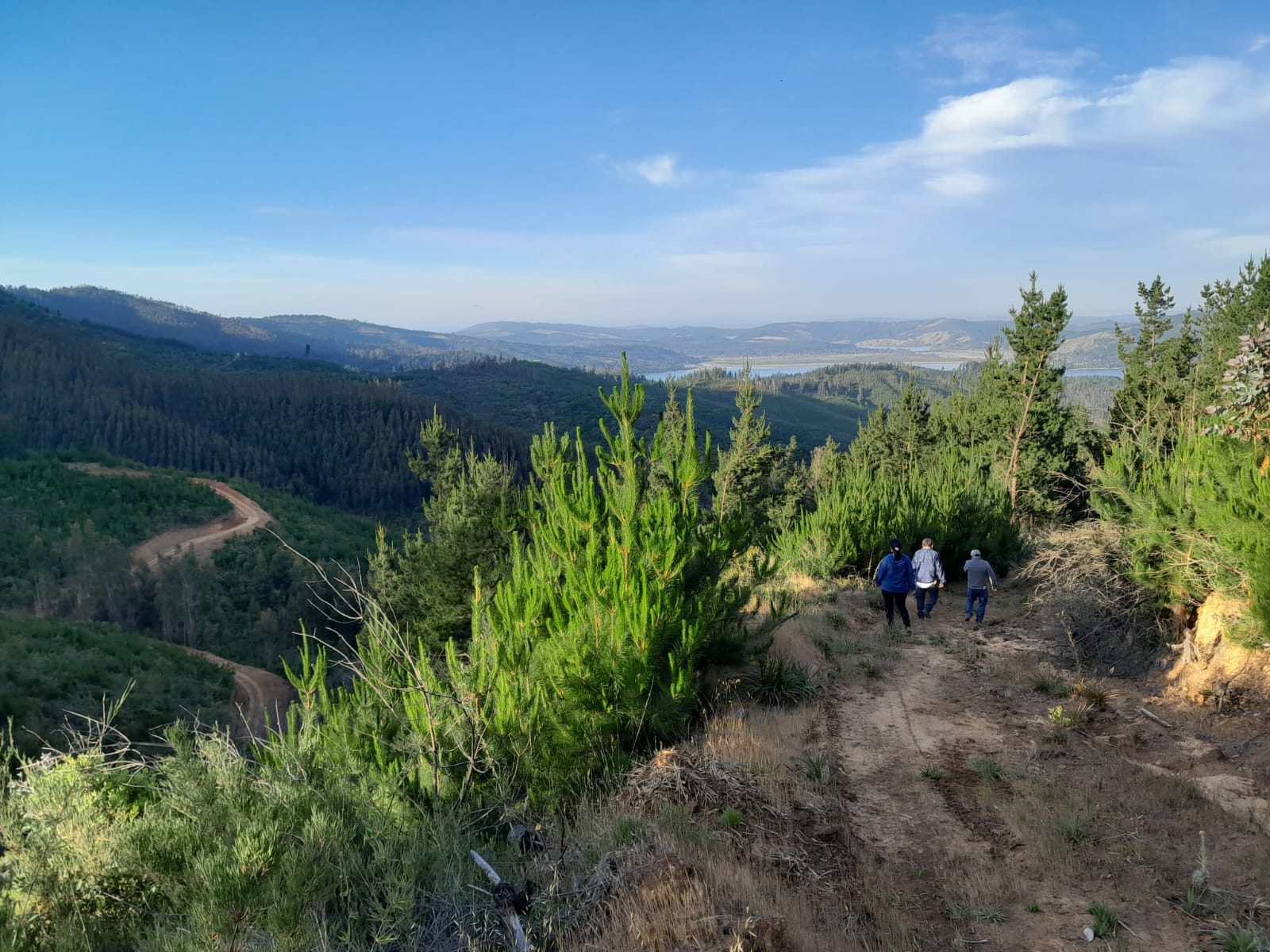 Terreno en venta en Vichuquén — foto 7