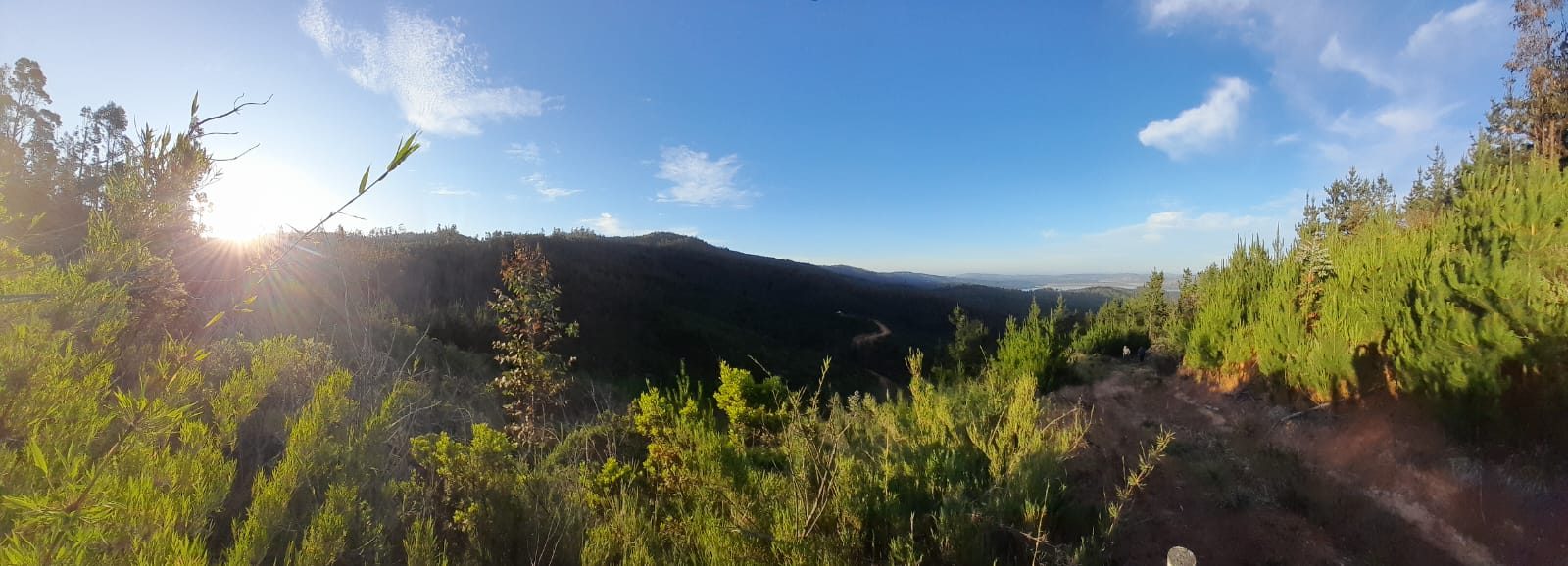 Terreno en venta en Vichuquén — foto 8
