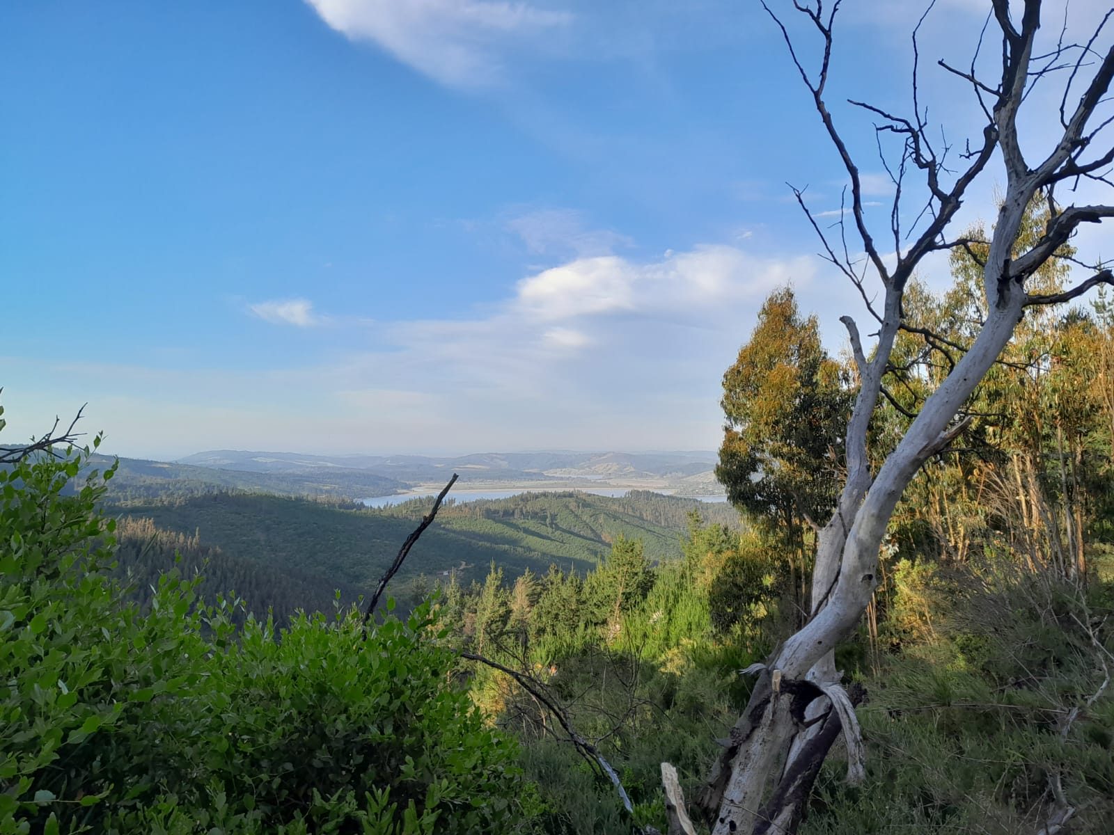 Terreno en venta en Vichuquén — foto 10