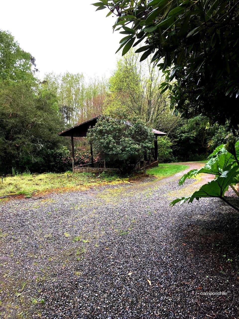 Campo en venta en Panguipulli — foto 4