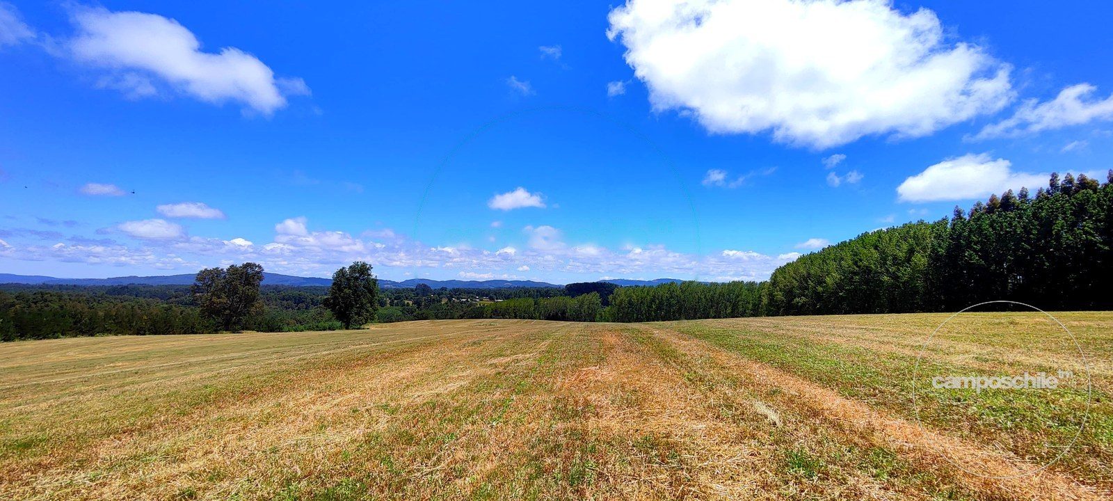 Campo en venta en Panguipulli — foto 5