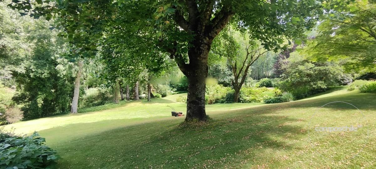 Campo en venta en Panguipulli — foto 10