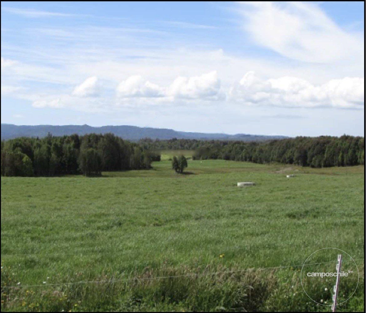 Campo en venta en Ancud — foto 9