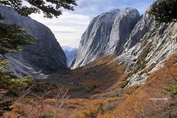 Campo en venta en Cochamó — foto 9
