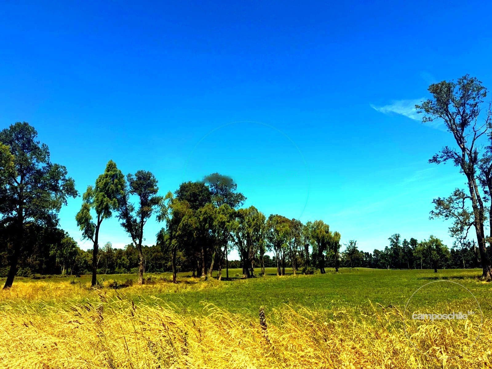 Campo en venta en Puerto Octay — foto 8