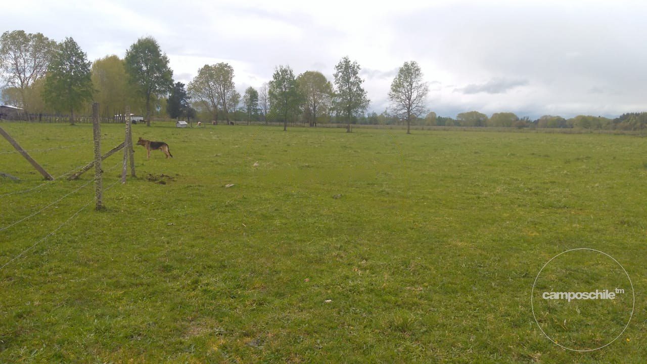 Parcela en venta en Frutillar — foto 6