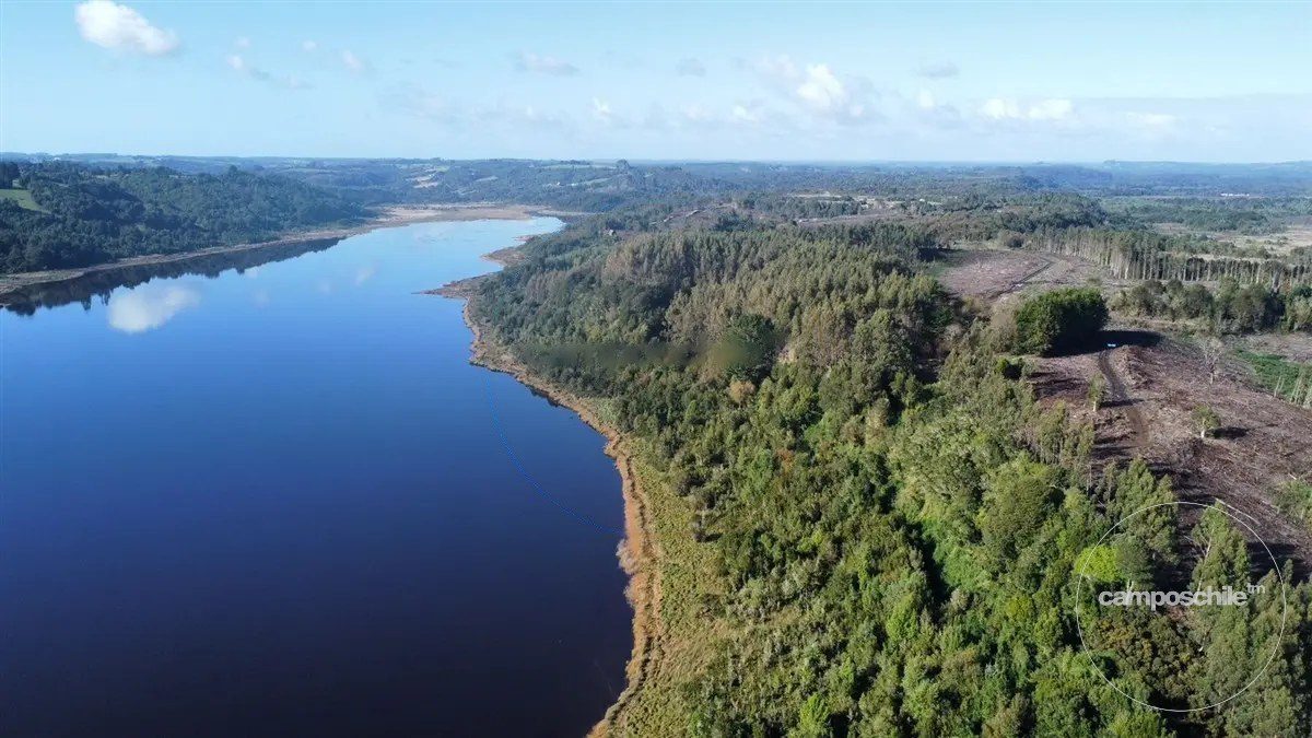 Campo en venta en Ancud — foto 9