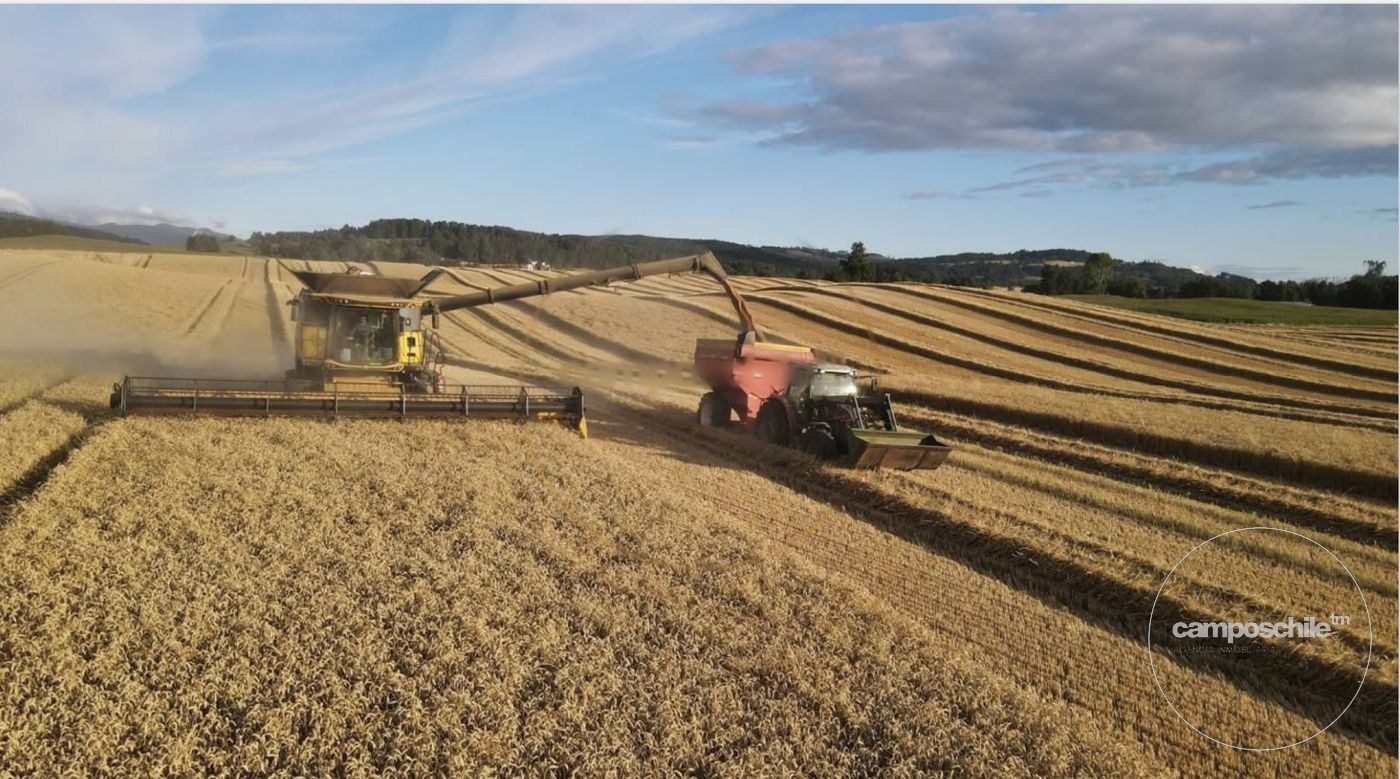 Campo en venta en Futrono — foto 3