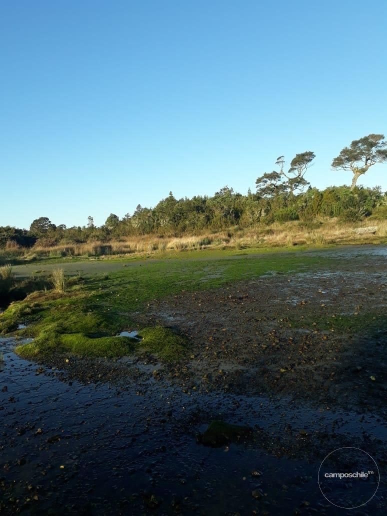 Campo en venta en Guaitecas — foto 3