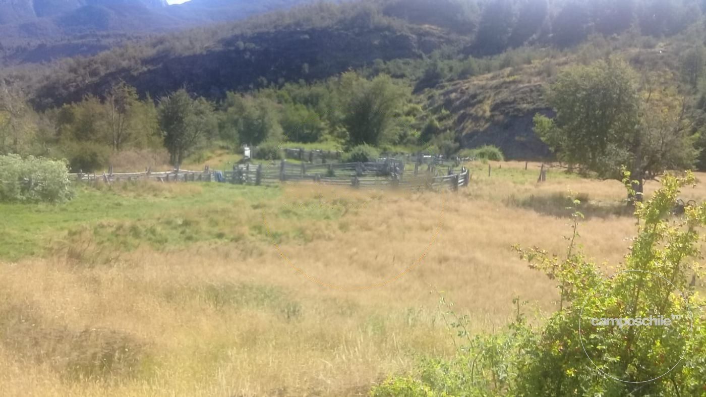 Campo en venta en Cochrane — foto 9