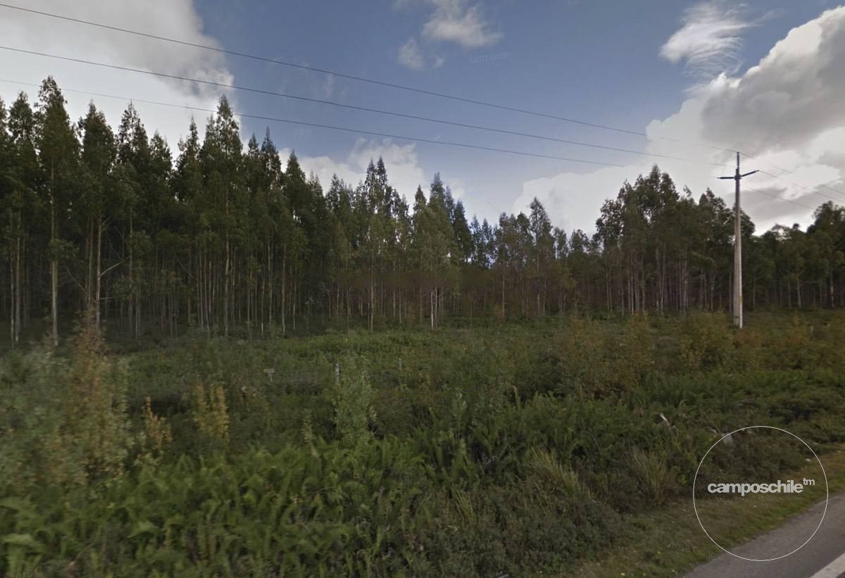Campo en venta en Calbuco — foto 1