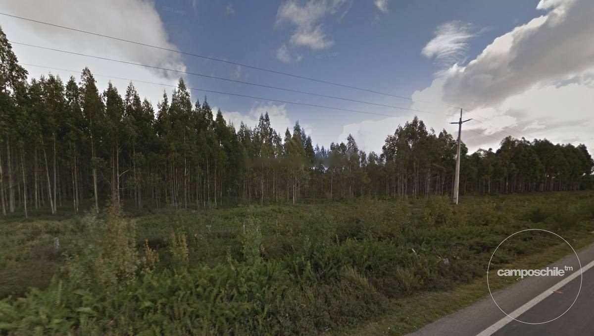 Campo en venta en Calbuco — foto 2
