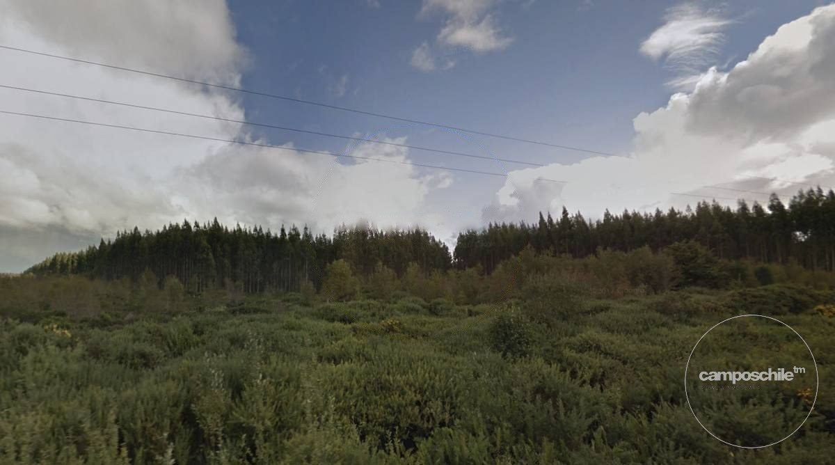 Campo en venta en Calbuco — foto 3