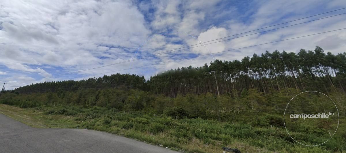 Campo en venta en Calbuco — foto 4