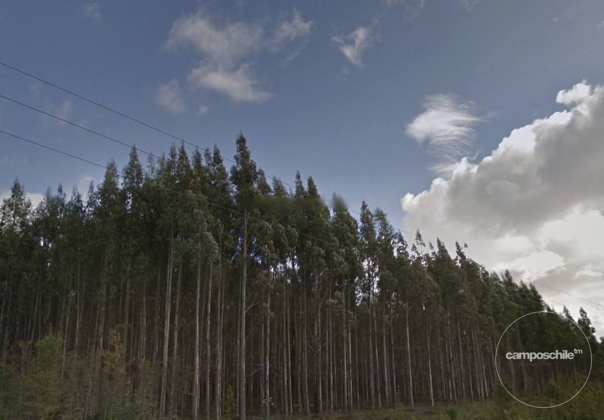 Campo en venta en Calbuco — foto 7