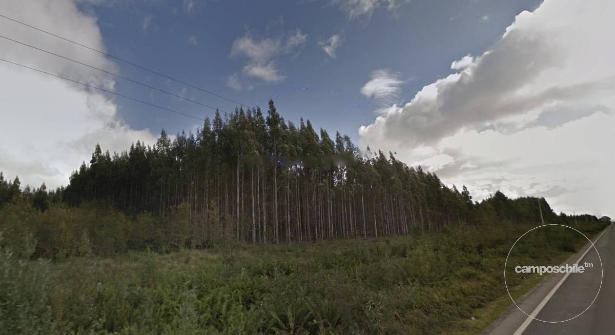 Campo en venta en Calbuco — foto 8
