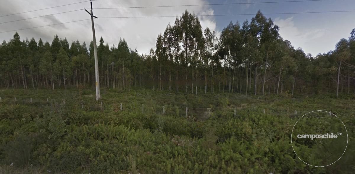 Campo en venta en Calbuco — foto 10
