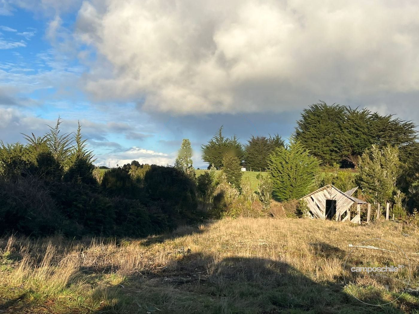 Campo en venta en Los Muermos — foto 4