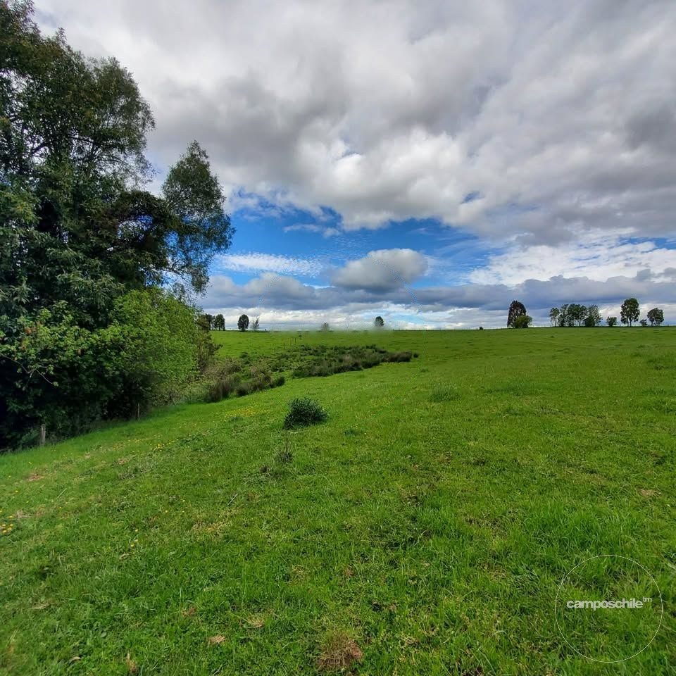 Campo en venta en Los Muermos — foto 9