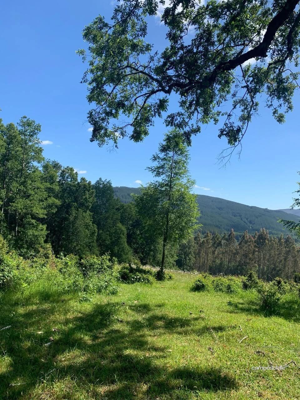 Campo en venta en Mariquina — foto 2