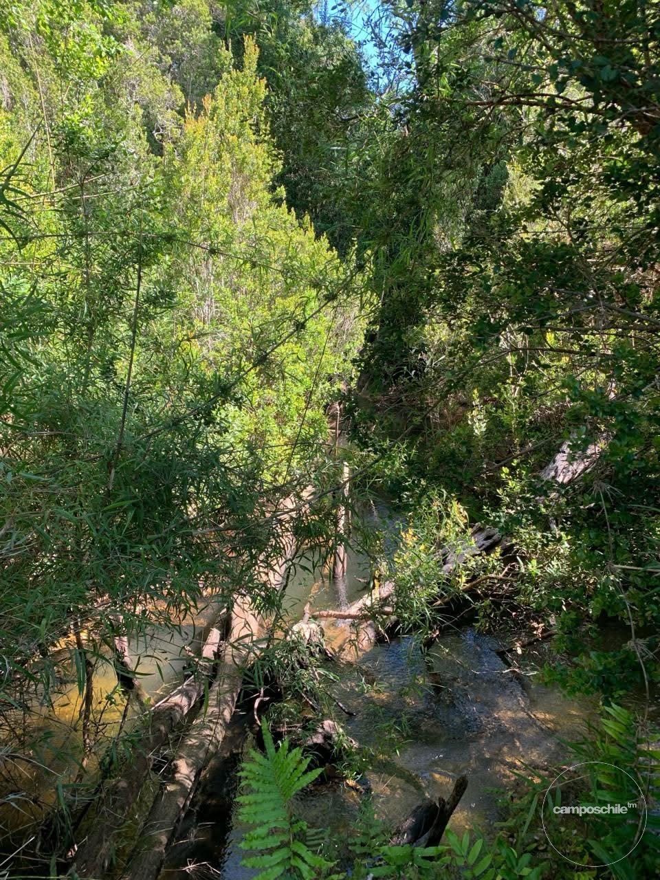 Campo en venta en Mariquina — foto 4