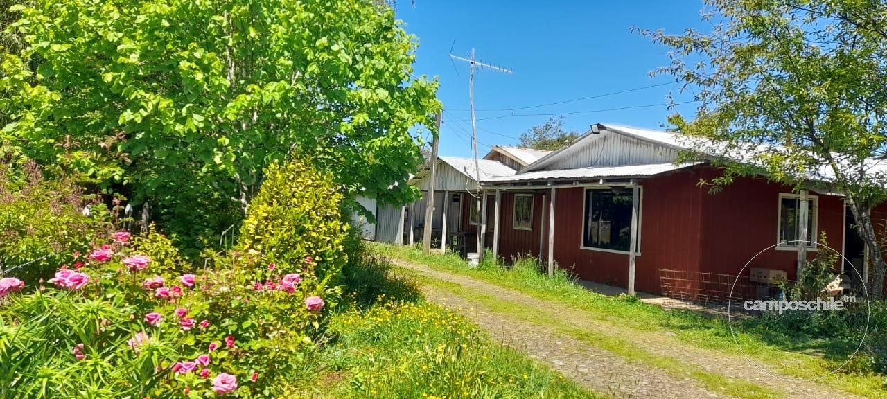 Campo en venta en Mariquina — foto 6