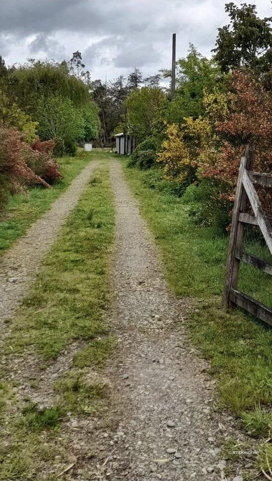 Campo en venta en Mariquina — foto 7
