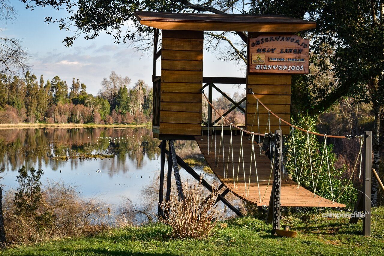 Campo en venta en Mariquina — foto 9