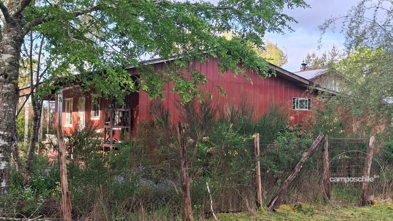 Parcela en venta en Pitrufquén — foto 4