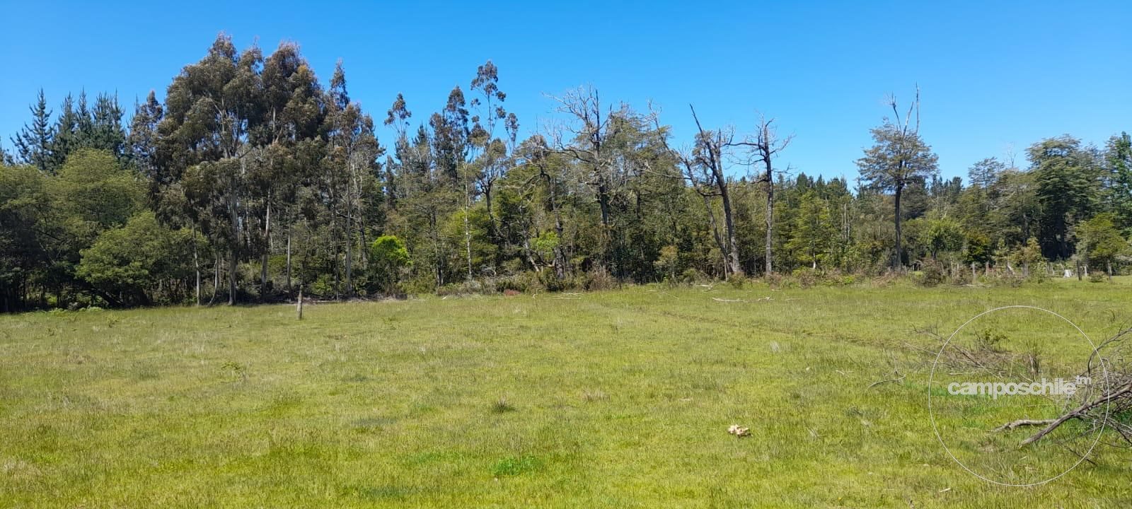 Parcela en venta en Pitrufquén — foto 7