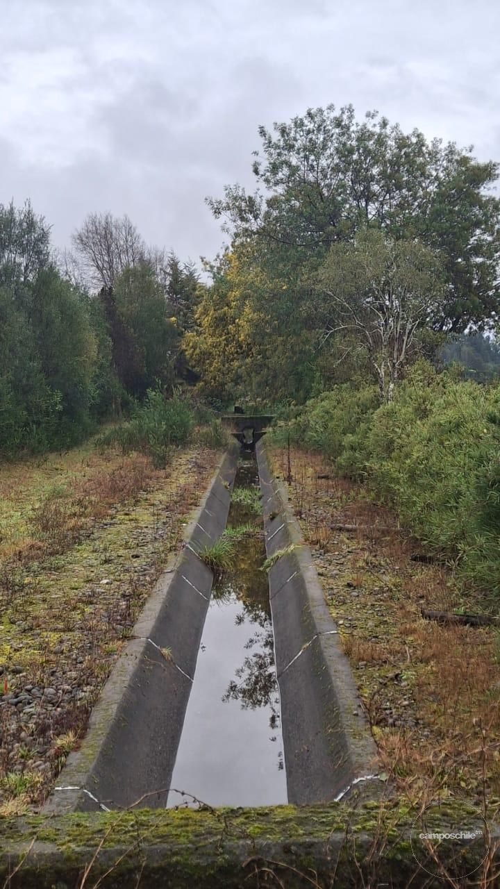Parcela en venta en Pitrufquén — foto 8