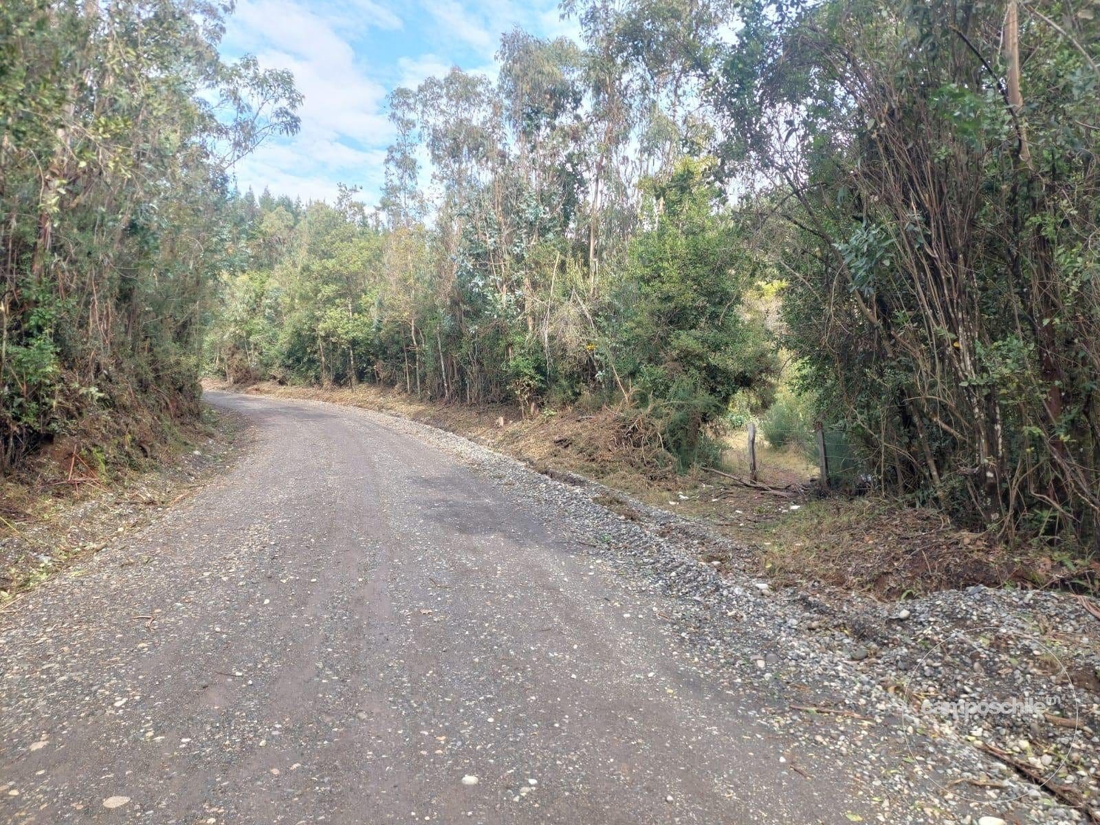 Parcela en venta en Pitrufquén — foto 2