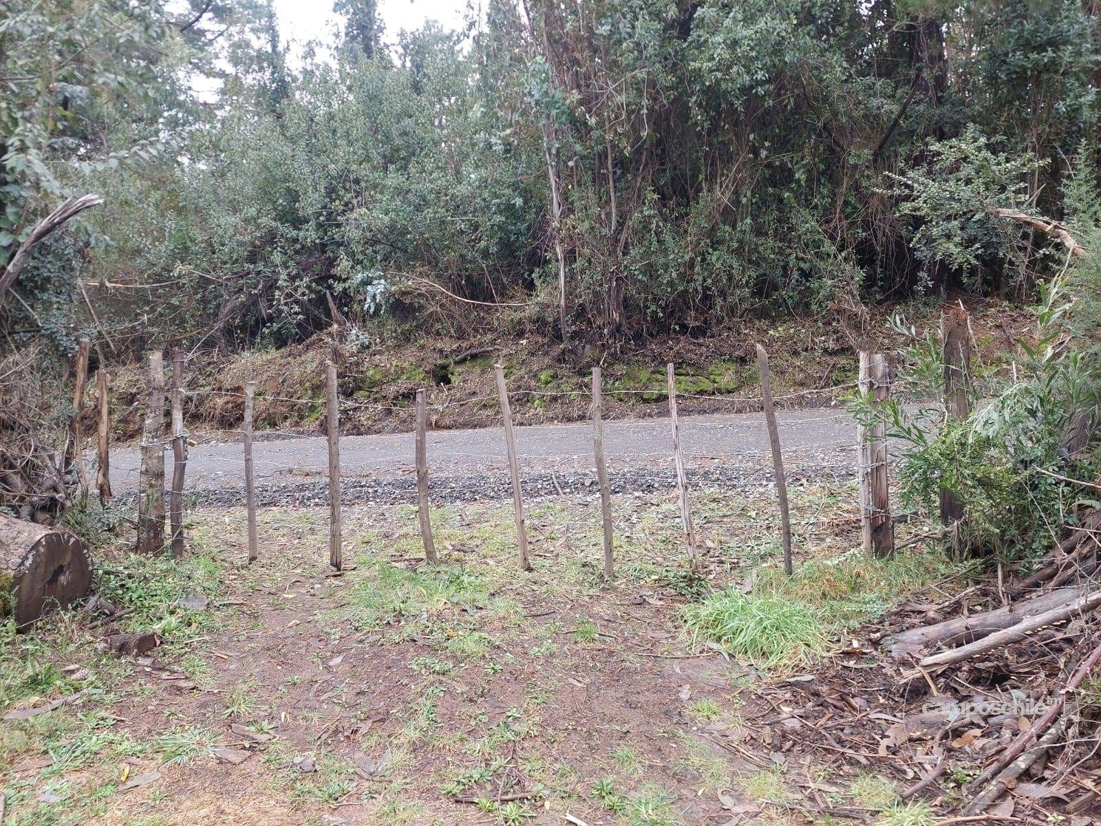Parcela en venta en Pitrufquén — foto 3