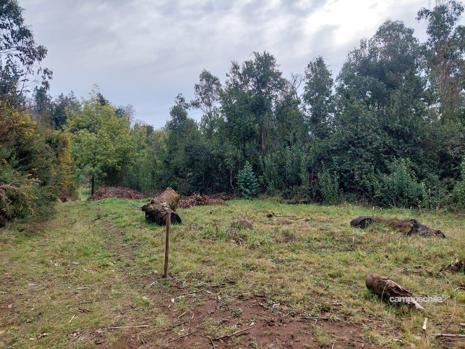 Parcela en venta en Pitrufquén — foto 9