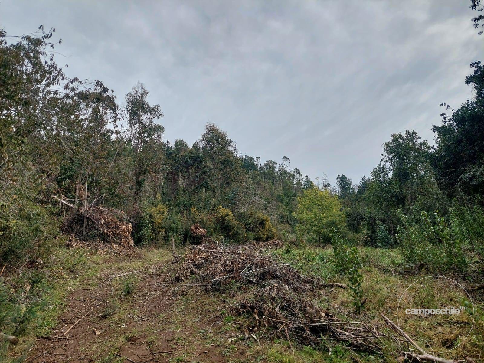 Parcela en venta en Pitrufquén — foto 10